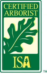 ISA certified arborist