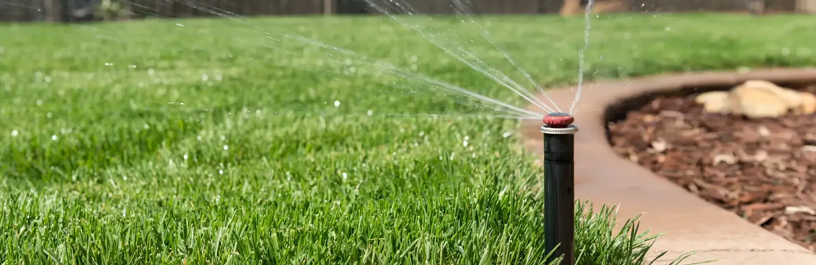 sprinkler watering lawn